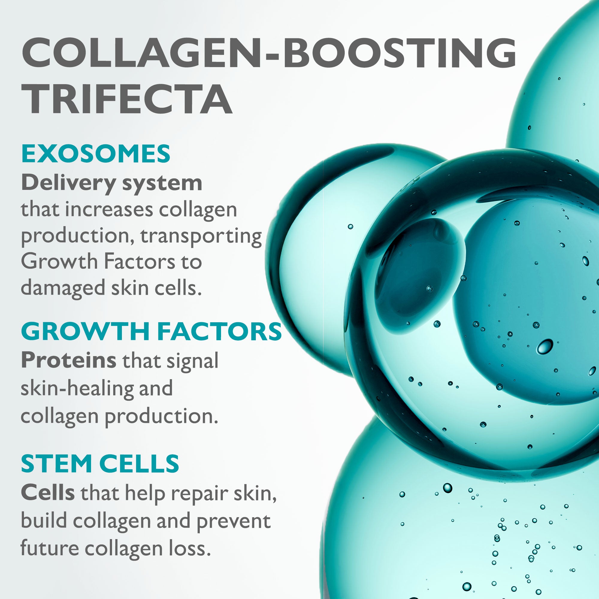 Collagen Skinjection Plumping & Firming Serum - Image 6
